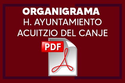 Organigrama 