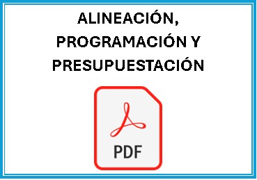 ALINEACION, PROGRAMACION Y P.